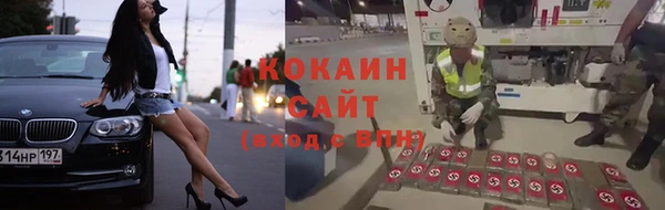 ГАЛЛЮЦИНОГЕННЫЕ ГРИБЫ Каменногорск
