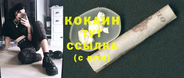 ГАЛЛЮЦИНОГЕННЫЕ ГРИБЫ Каменногорск