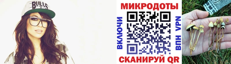 Псилоцибиновые грибы GOLDEN TEACHER  Купить закладки  Северодвинск 